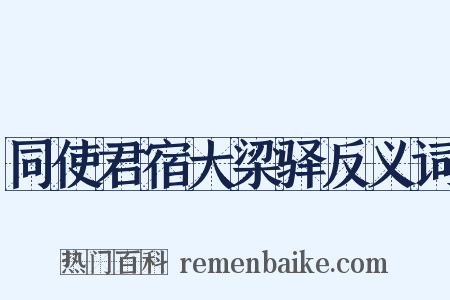 同使君宿大梁驿反义词是什么意思的图片